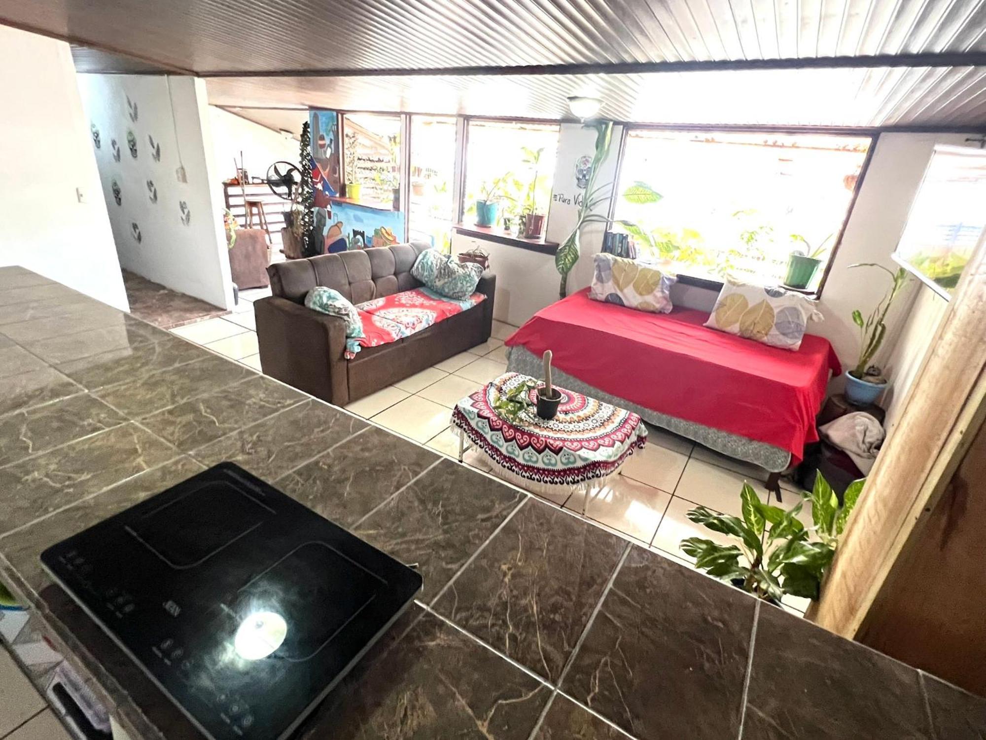 Passifloras Hostel 奎波斯城 外观 照片