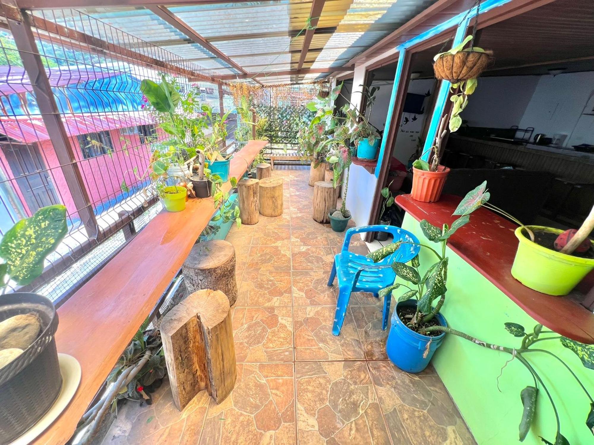 Passifloras Hostel 奎波斯城 外观 照片