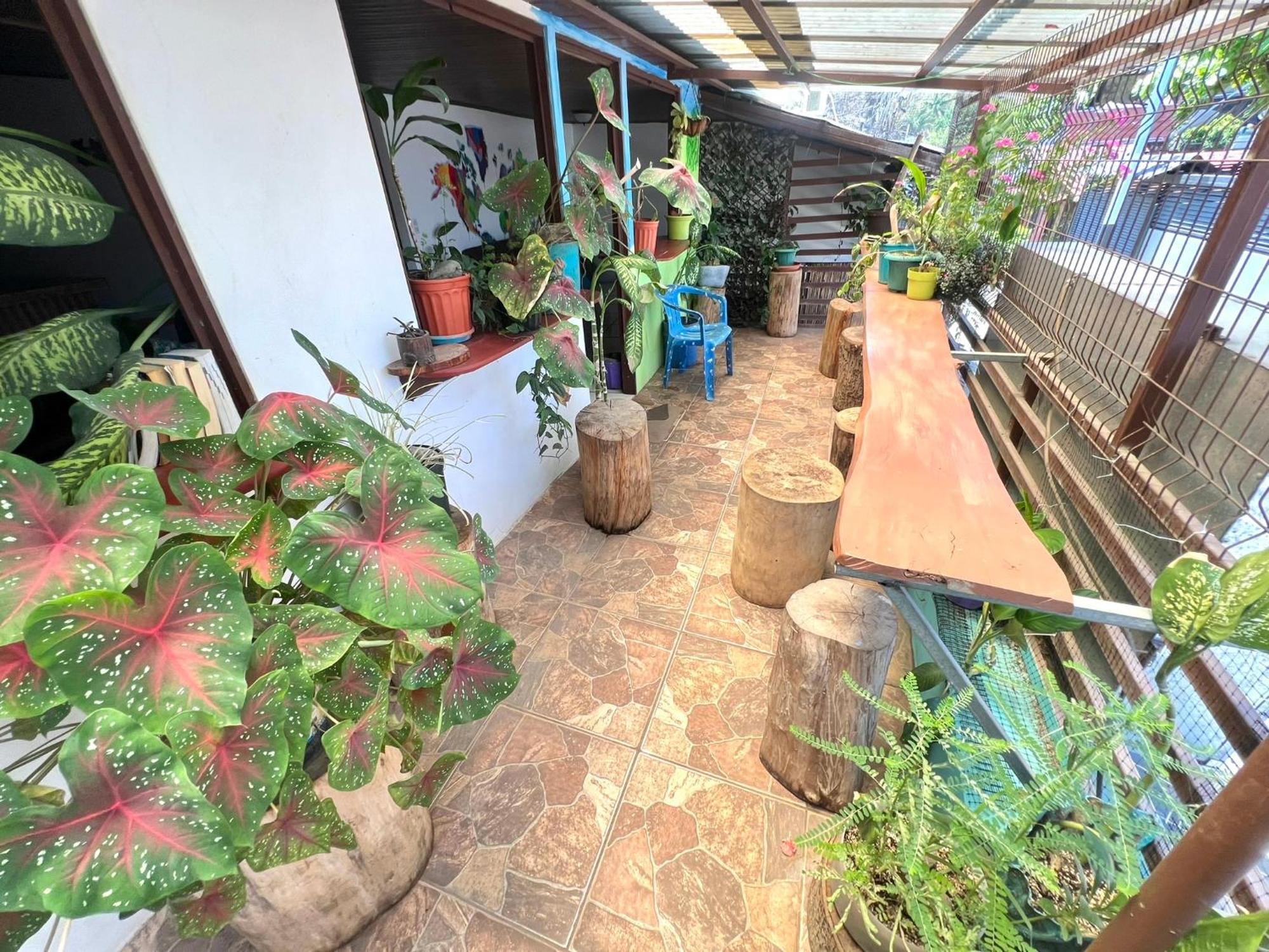 Passifloras Hostel 奎波斯城 外观 照片
