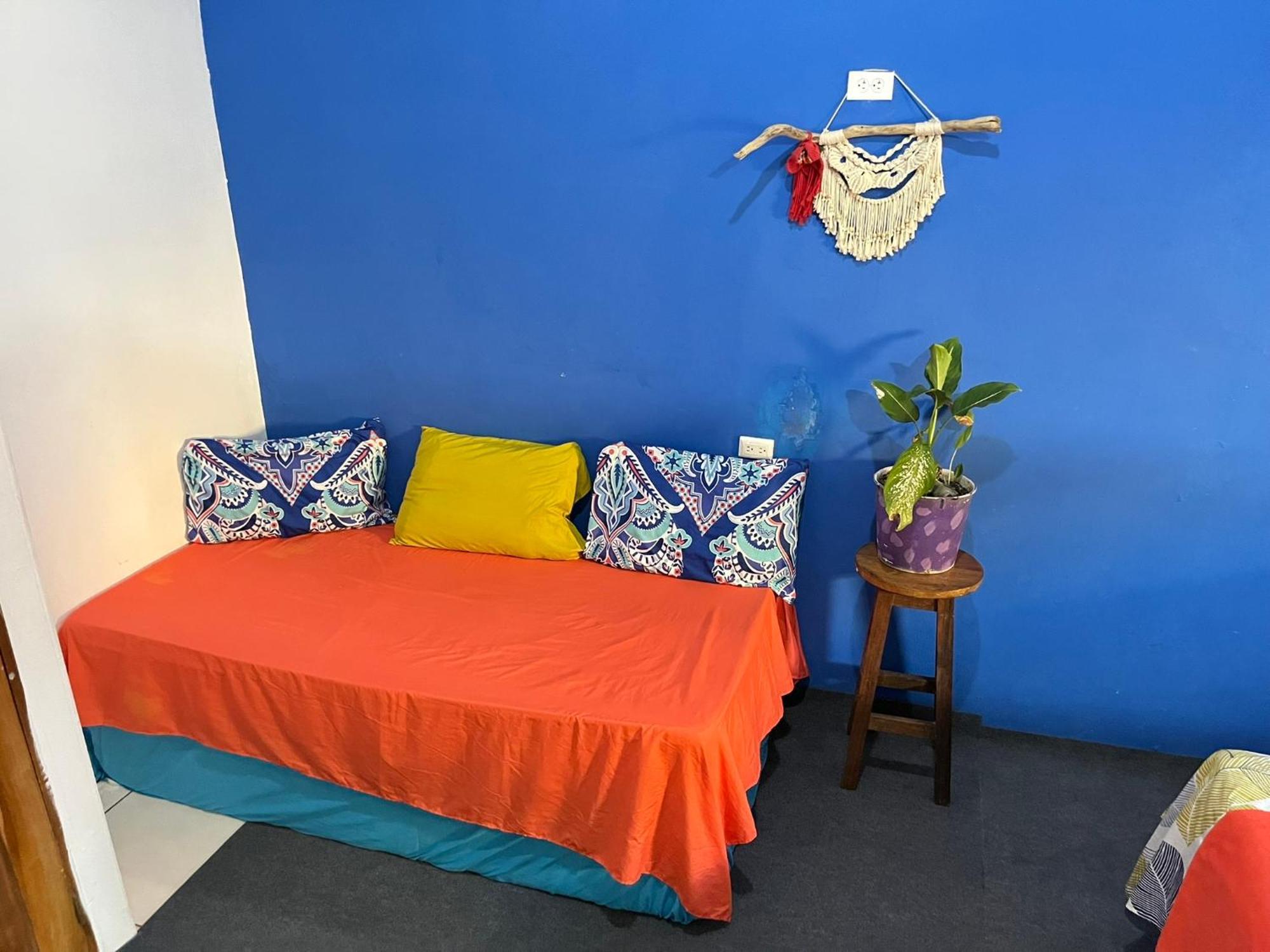 Passifloras Hostel 奎波斯城 外观 照片
