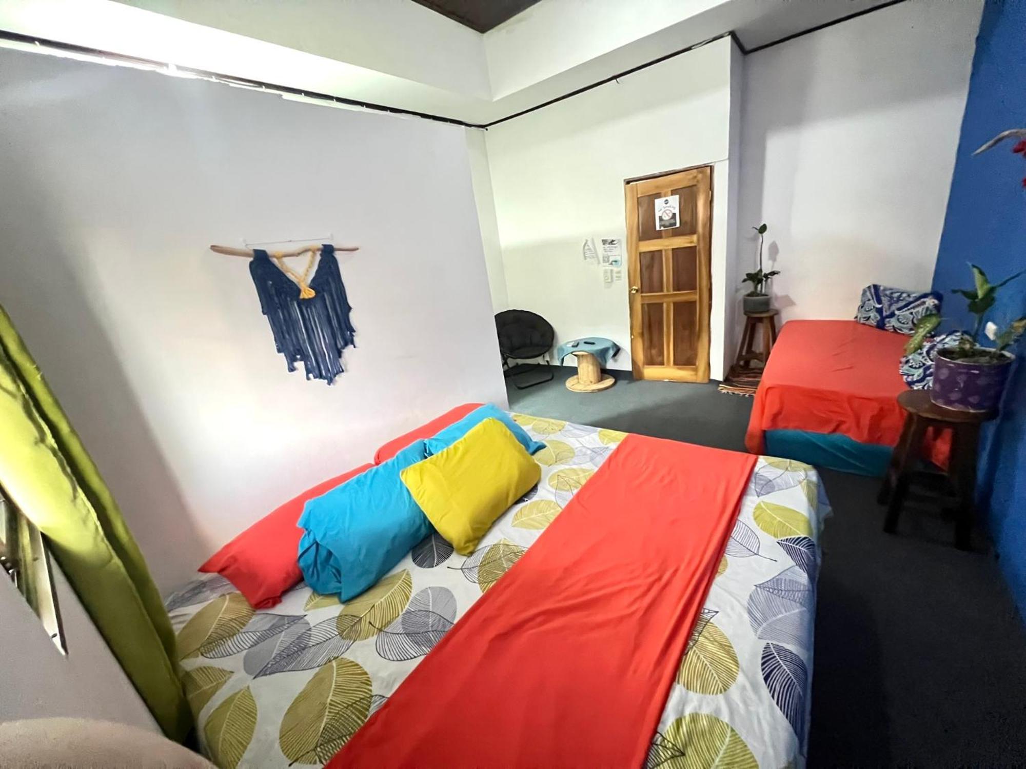 Passifloras Hostel 奎波斯城 外观 照片