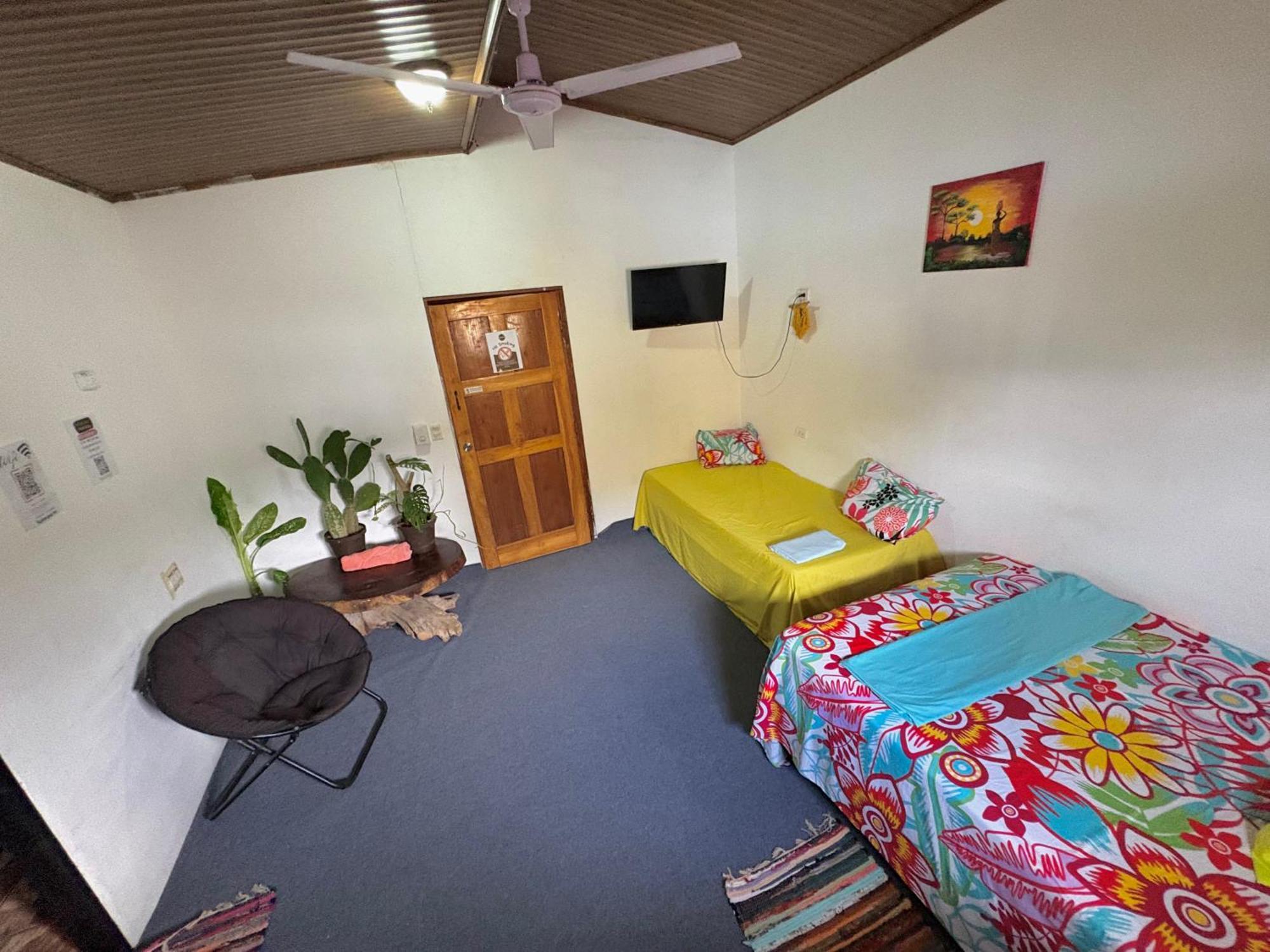 Passifloras Hostel 奎波斯城 外观 照片