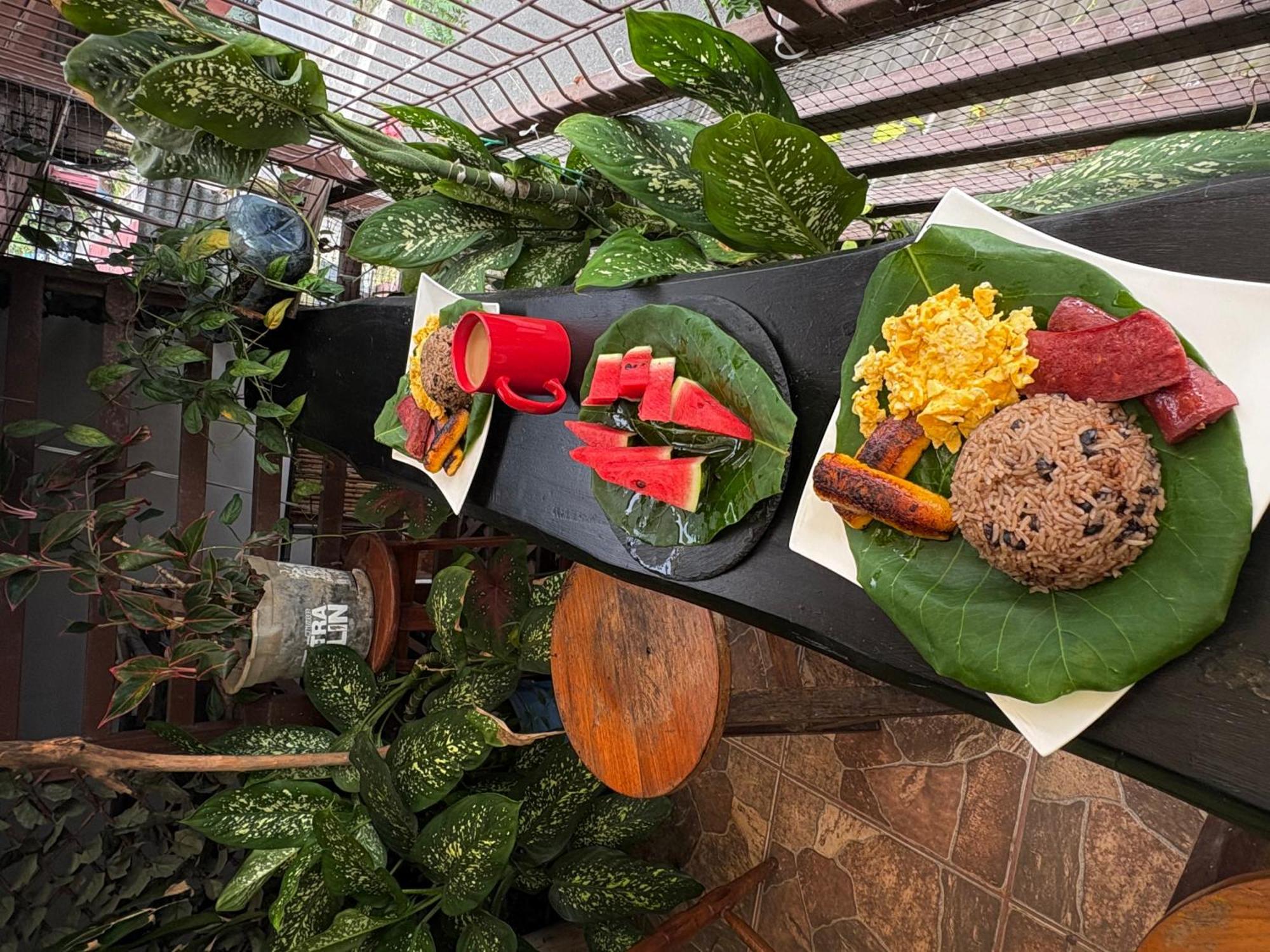 Passifloras Hostel 奎波斯城 外观 照片