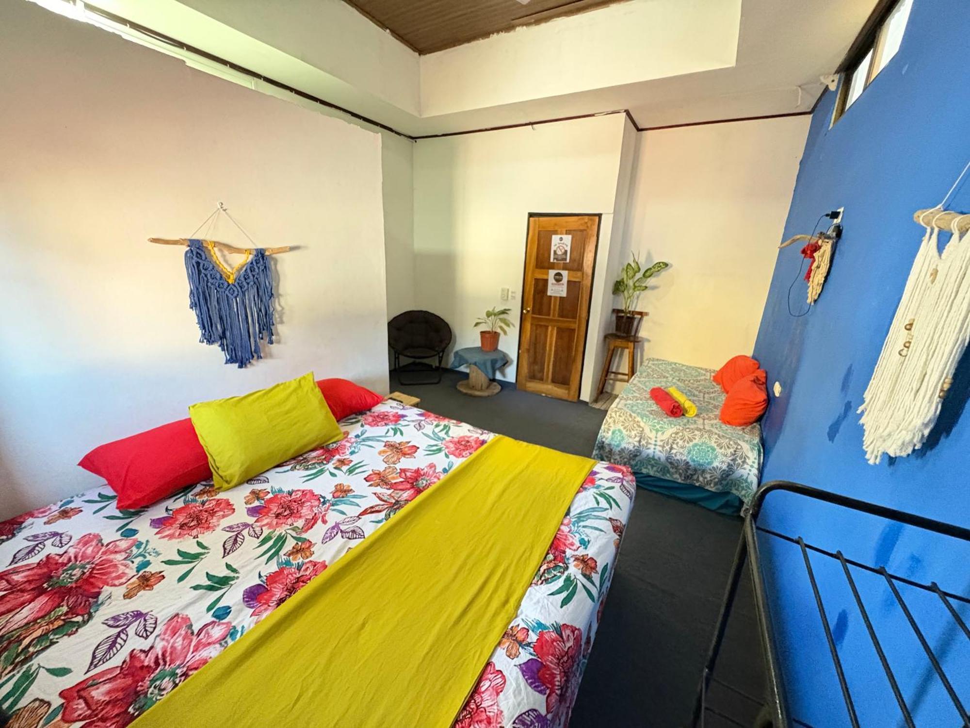 Passifloras Hostel 奎波斯城 外观 照片