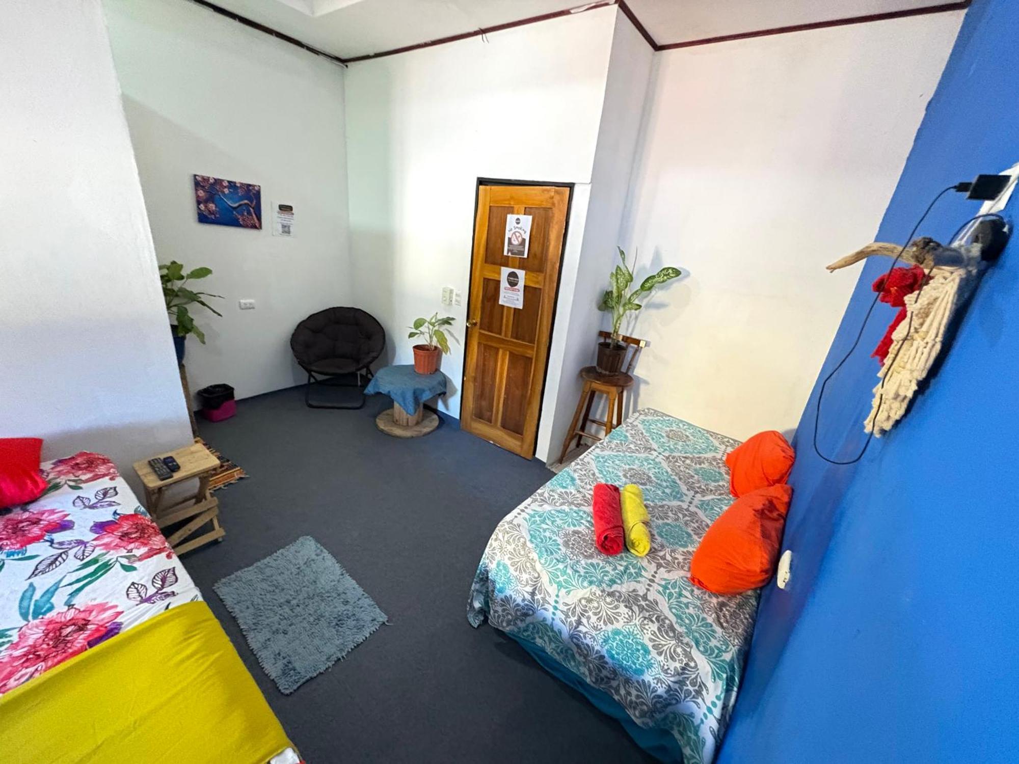 Passifloras Hostel 奎波斯城 外观 照片
